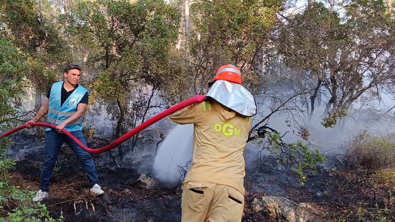 Muğla’da Sertifikalı Ülkü Ocakları Gönüllüleri Göcek’teki Yangınla Mücadelede Sahada